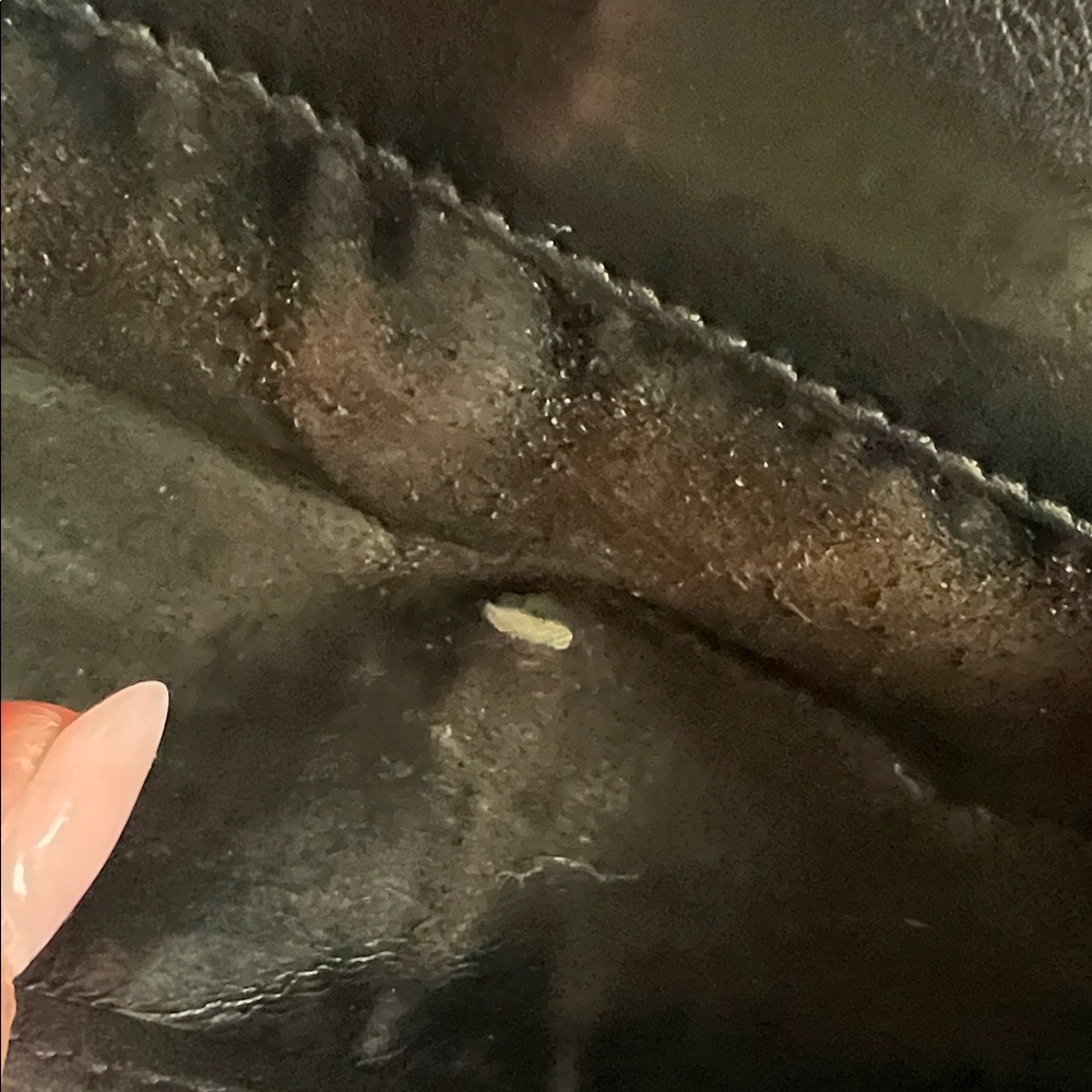 Gucci Canvas Continental Flap Wallet. P56 - Picture 11 of 12